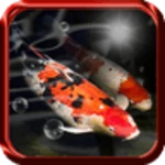 koi fish live wallpaper android application logo